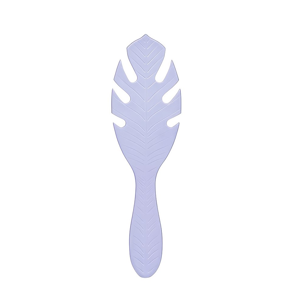 Wet Brush BIODEGRADEABLE DETANGLER - PURPLE