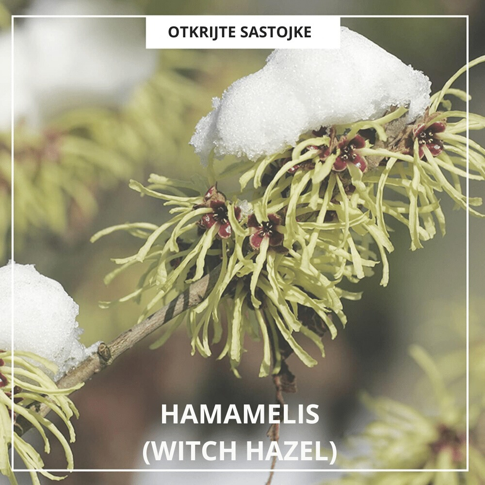 All Clean Green Foam 150g