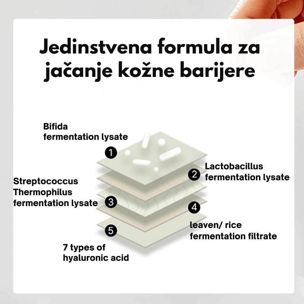 Bifida Toner Pad 120ea