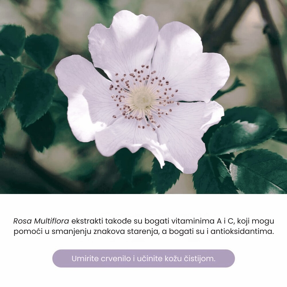 Premium Rosa Modeling Mask Set (25g*5EA)